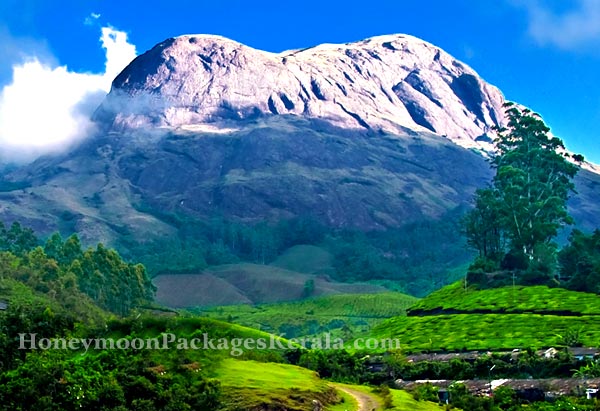 kerala hill stations honeymoon